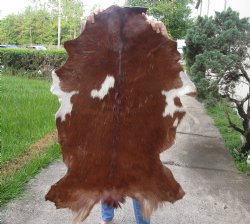 Real Goat Hide for sale -  44 inches - $39