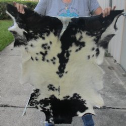 Real Goat Hide for sale -  38 inches - $39
