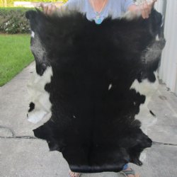 Real Goat Hide for sale -  41 inches - $39