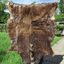 Black Wildebeest Skin, 54" x 40" - $100