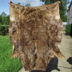 Black Wildebeest Skin, 57" x 43" - $100
