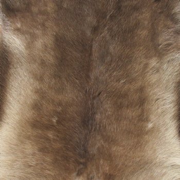 43 inches by 39 inches Finland Reindeer Hide, Skin, farm raised - $150