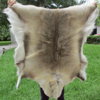 A-Grade Finland Reindeer Hide/Skin, 40" x 41" - $150