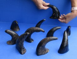 10 piece lot of Sem...