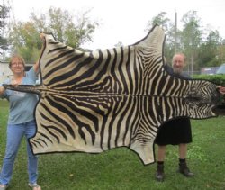 Animal Hides, Skins, Fur