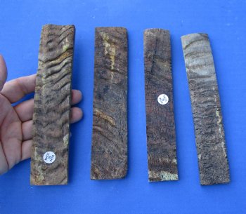 Buy now - <font color=red>CLOSEOUT</font> 2 pairs of 7 x 1-1/4 x 1/4 sheep horn scales, knife handle material for $42/lot