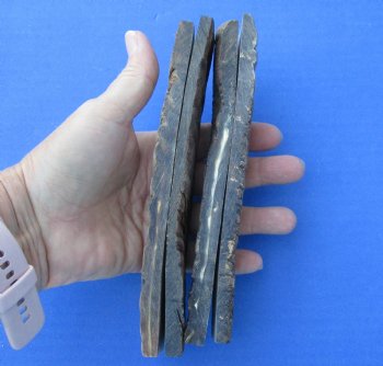 Buy now - <font color=red>CLOSEOUT</font> 2 pairs of 7 x 1-1/4 x 1/4 sheep horn scales, knife handle material for $42/lot