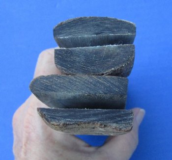 Buy now - <font color=red>CLOSEOUT</font> 2 pairs of 7 x 1-1/4 x 1/4 sheep horn scales, knife handle material for $42/lot