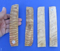 Buy now - <font color=red>CLOSEOUT</font> 2 pairs of 7" x 1-1/4" x 1/4" sheep horn scales, knife handle material for $59/lot