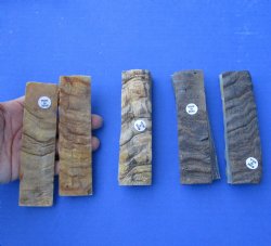 For Sale - 4  pairs of 5" x 1-1/4" x 1/8" to 1/4" sheep horn scales <font color=red>Close-out $20/lot</font>