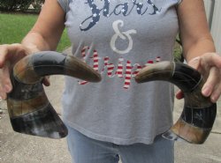 2 piece lot of Auth...