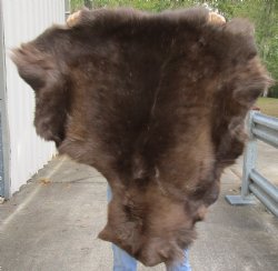 Real Craft Grade 42 inch by 35 inch Tanned Reindeer hide - $65