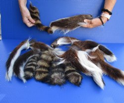 14 Piece Lot of Preserved Deer and Raccoon Tails, buy this lot for $55