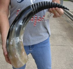 Genuine 24 inch Car...