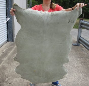 Real Goat Hide for sale -  48x32 inches - $35