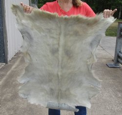 Real Goat Hide for sale -  37x31 inches - $35