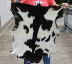 Real Goat Hide for sale -  31x25 inches - $35