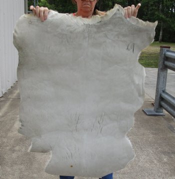 Authentic Real Goat Hide for sale -  46x31 inches - $35