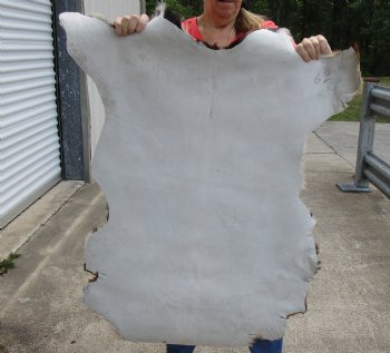 Buy this Real Goat Hide for sale -  41x35 inches - $35