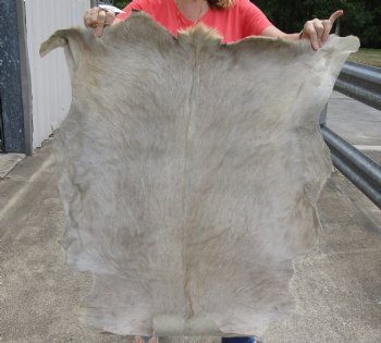 Buy this Real Goat Hide for sale -  41x35 inches - $35