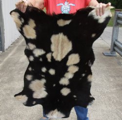 Genuine Real Goat Hide for sale -  35x27 inches - $35