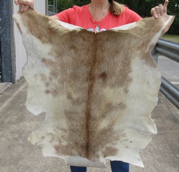 Genuine Real Goat Hide for sale -  40x32 inches - $35