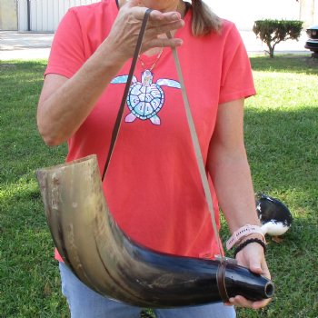 28" XL Polished Cattle Blowing Horn with strap - $30