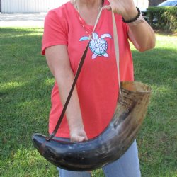 27" XL Polished Cattle Blowing Horn with strap - $30