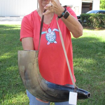27" XL Polished Cattle Blowing Horn with strap - $30