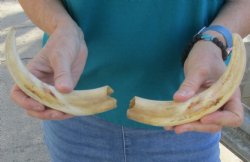 Matching pair of 8-...