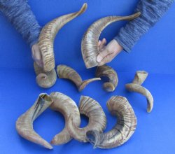 10 piece lot of Ram...