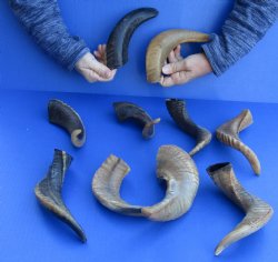 10 piece lot of Ram...