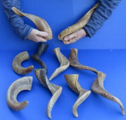 10 piece lot of Ram...