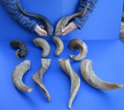 10 piece lot of Ram...