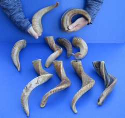 10 piece lot of Ram...