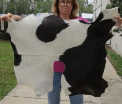 B-Grade 36" x 25" Goat Hide - $25