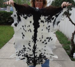 Small 35" x 25" Goat Hide - $30