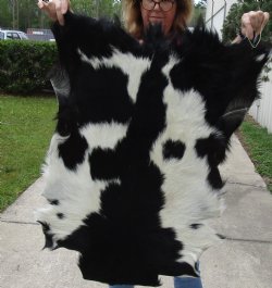 Small 35" x 24" Goat Hide - $30