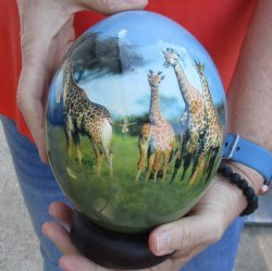 6 inch South African Decoupage Ostrich Egg with 3D Giraffe Family and Map with wooden stand for sale - $45