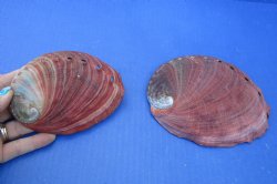 2 pc lot of Red Aba...