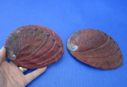 2 pc lot of Red Aba...