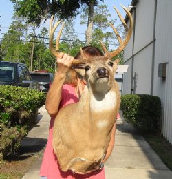 Buy this 9 point Wh...