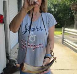 Buy this 16 inch Carved Cattle/cow Powder Horn with strap for $17