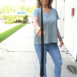 Buy this Gemsbok horn for making shofars, 33-1/2 inches for $26