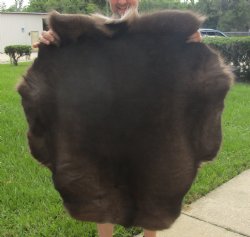 A Grade Reindeer pelt/hide/skin without legs, 39 inches long by 33 inches wide 