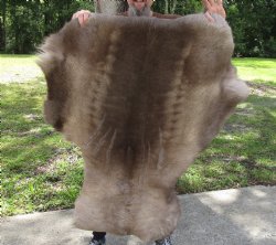 Grade B Reindeer pelt/hide/skin without legs, 44 inches long by 35 inches wide