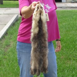 Opossum fur pelt, tanned hide for sale, measuring 24 inches long - for $45.00