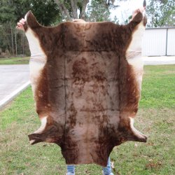 Blesbok Skin Rug, Blesbok Hide Soft Tanned 50" x 41"