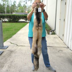 54" Cross Fox Pelt, Tanned Hide