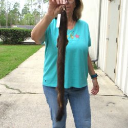 27" Mink Skin/Pelt